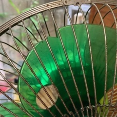 家電 季節、空調家電 扇風機の画像