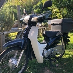 ホンダ　カブ　aa04 50cc