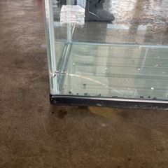 水槽　金魚　熱帯魚　アクアリウム
