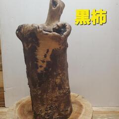 黒柿