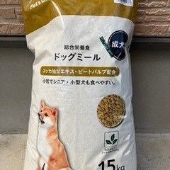 🎄🐕🎁ドックフード🐕無料‼️