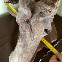 家具 インテリア雑貨/小物 置物、オブジェの画像