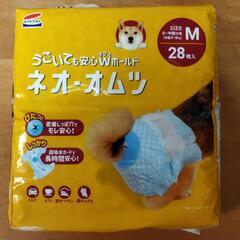 犬用おむつ