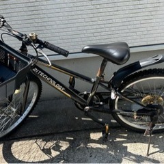 一旦中止　子供自転車 22インチ