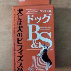 犬用のビフィズス菌