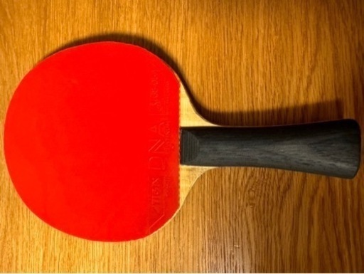 卓球　ラケット　スティガ