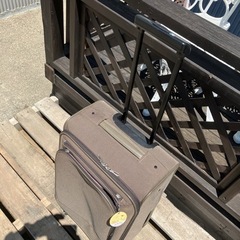 お譲り先決定　0円！　無料　キャリーバッグ バッグ リュック　旅行 Bag　の画像