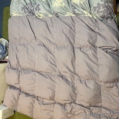 羽毛掛け布団　トップバリューの画像