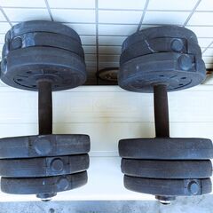 18.4 kg ダンベル