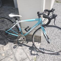 GIANT 小学高学年から中学生向き