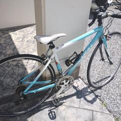 GIANT 小学高学年から中学生向きの画像