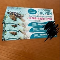 千葉市　鴨川シーワールド　割引券