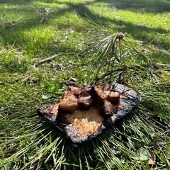 モルック&BBQ メンバー募集 - 友達