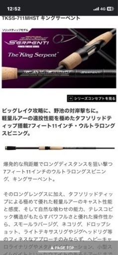 バスロッド　エバーグリーン　セルペンティ　キングサーペント