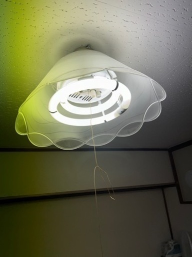 家電 生活家電 アイロン