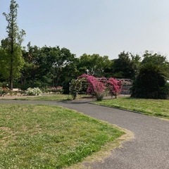 ウォーキング仲間募集🏃‍♀️🏃‍♀️🏃‍♀️ - 友達