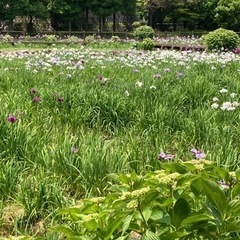 ウォーキング仲間募集🏃‍♀️🏃‍♀️🏃‍♀️ - メンバー募集