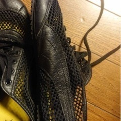 プーマ PUMA スニーカー シューズ メッシュ 25cm ブラックの画像