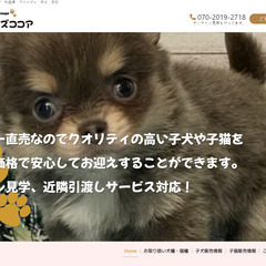 ホームページ月額5000円！（制作費・修正・サーバーなど全て込み...