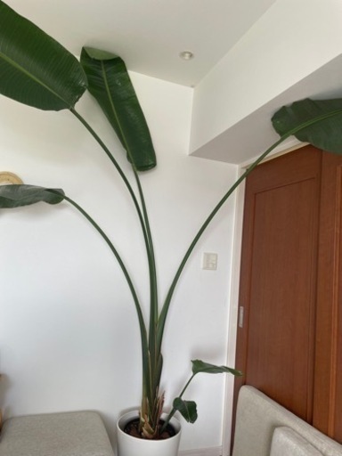 生活雑貨 家庭用品 ガーデニング