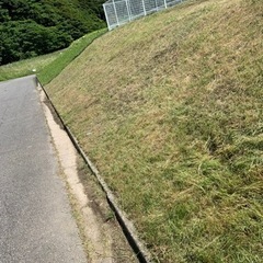 草刈り【相談無料】メッセージでのやり取り可。某サイト草刈り部門にて評価1位獲得実績有‼️ - 剪定/造園