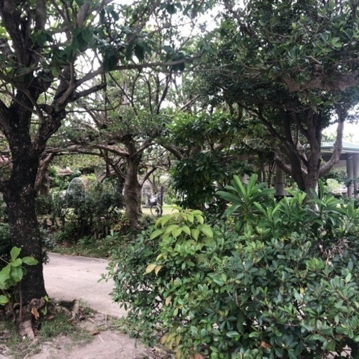 何でも屋さん連絡ください