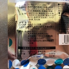 【受け渡し終わり】宇宙のグミ ソーダ味 宇宙乳酸菌入り 40g 賞味：2024.07.17の画像