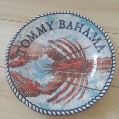 割れないディナープレート８枚