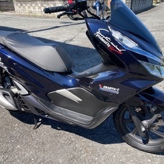 🉐pcx jf81 純正シート　あんこ抜きの画像