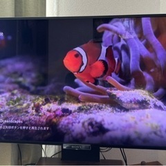 (現在取引中)テレビ