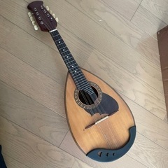 楽器 弦楽器、ギター