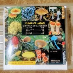 ❬商い進行中❭「山渓カラー名鑑　日本のきのこ」本　カラー図鑑の画像