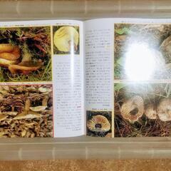 ❬商い進行中❭「山渓カラー名鑑　日本のきのこ」本　カラー図鑑の画像