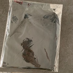 車用マグネットカーテンの画像