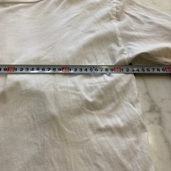 ZARA レディース　Tシャツ の画像