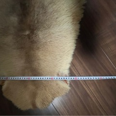 家具 インテリア雑貨/小物 置物、オブジェの画像