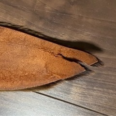 家具 インテリア雑貨/小物 置物、オブジェの画像