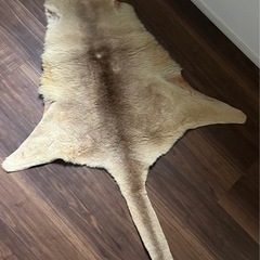 家具 インテリア雑貨/小物 置物、オブジェ