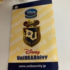 ディズニーユニバーシティキーチェーンの画像