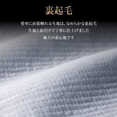 バイクカバーの画像