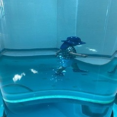 静岡市30代のママ友募集中✩.*˚