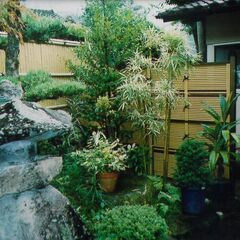 🌟造園　庭園管理⭐️経験者歓迎　⭐️未経験者歓迎の画像