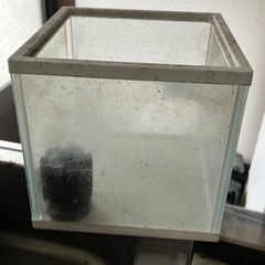 金魚水槽