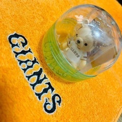 読売巨人軍【戸郷翔征 カプセル未開封】の画像