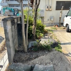 木の伐採，抜根お任せください。