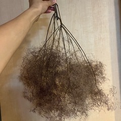 ドライフラワー8束の画像