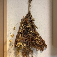 ドライフラワー8束の画像