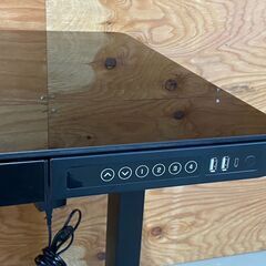 FLEXISPOT (フレキシ スポット) 電動昇降デスク ブラックET118-N-ZX