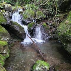 山岳渓流、源流釣りを楽しむ仲間に成ろうよ😄 - メンバー募集