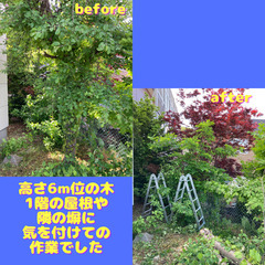 「庭木伐採」★優助GROUP★